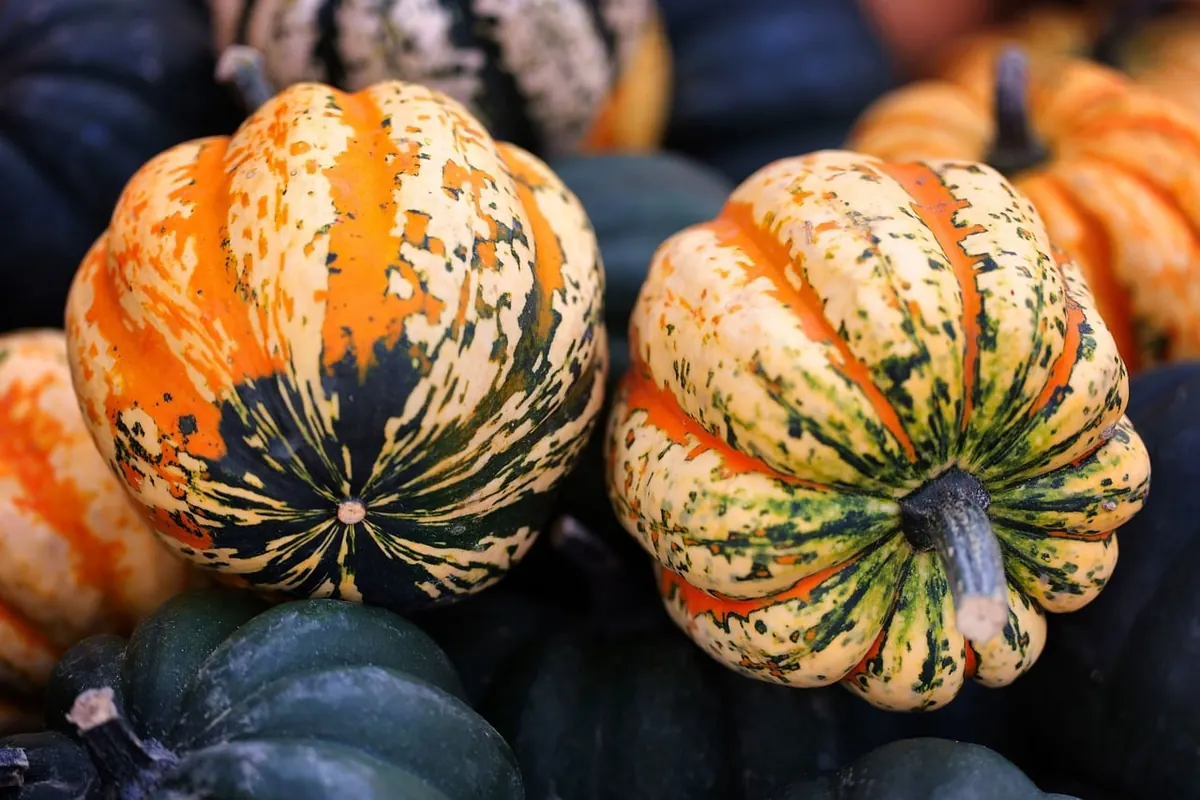 A British Seasonal Pantry Calendar: What to Buy, Store and Cook Month by Month